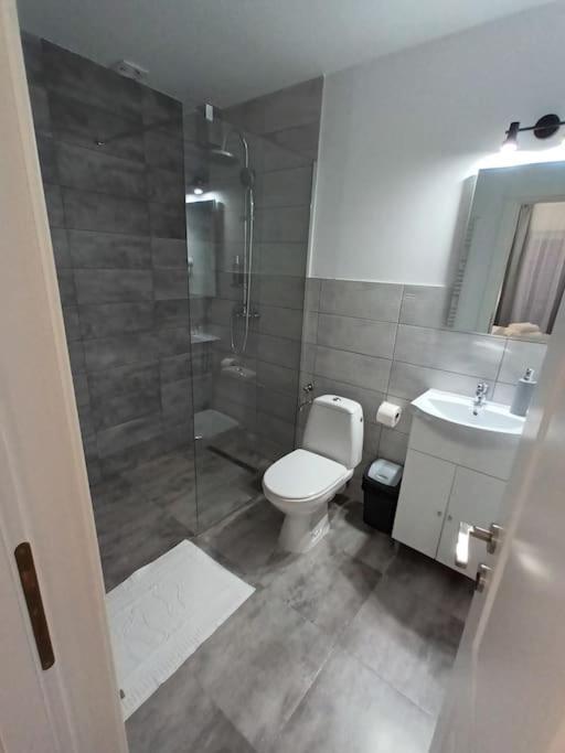 Old Town Studio 2 Apartment Nr 4 Baia Mare Ngoại thất bức ảnh