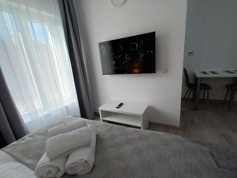 Old Town Studio 2 Apartment Nr 4 Baia Mare Ngoại thất bức ảnh