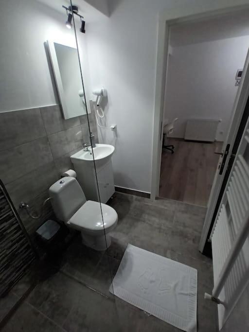 Old Town Studio 2 Apartment Nr 4 Baia Mare Ngoại thất bức ảnh