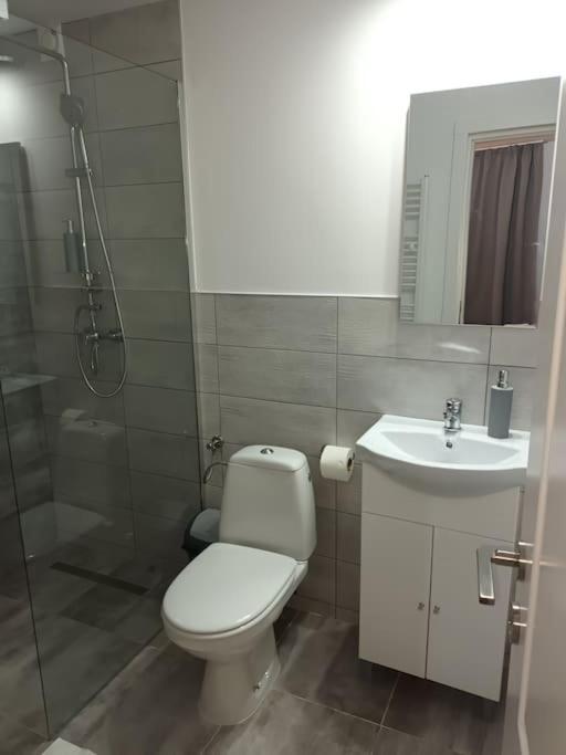 Old Town Studio 2 Apartment Nr 4 Baia Mare Ngoại thất bức ảnh
